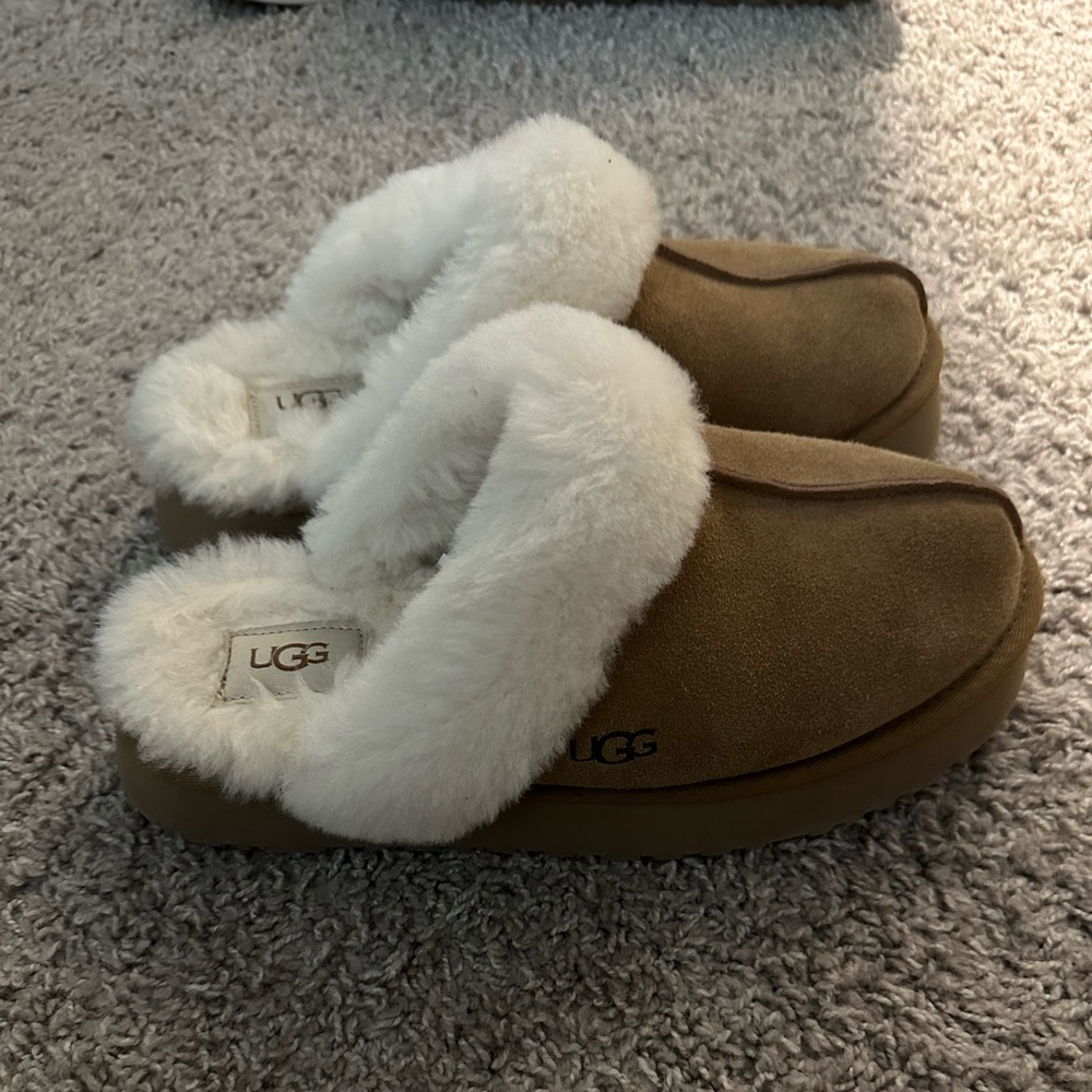 UGG disquette slippers
